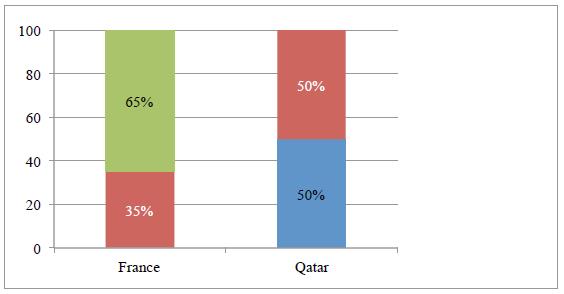 Fig. 1. Comparative representation - rules of defensive functioning - France and Qatar 
